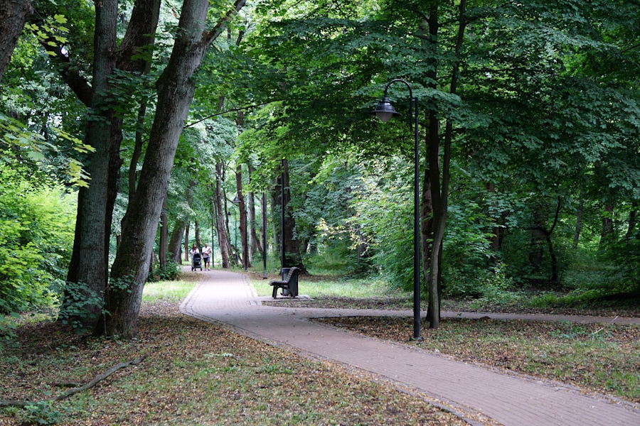 Новая дорожка и фонари в парке Макса Ашманна